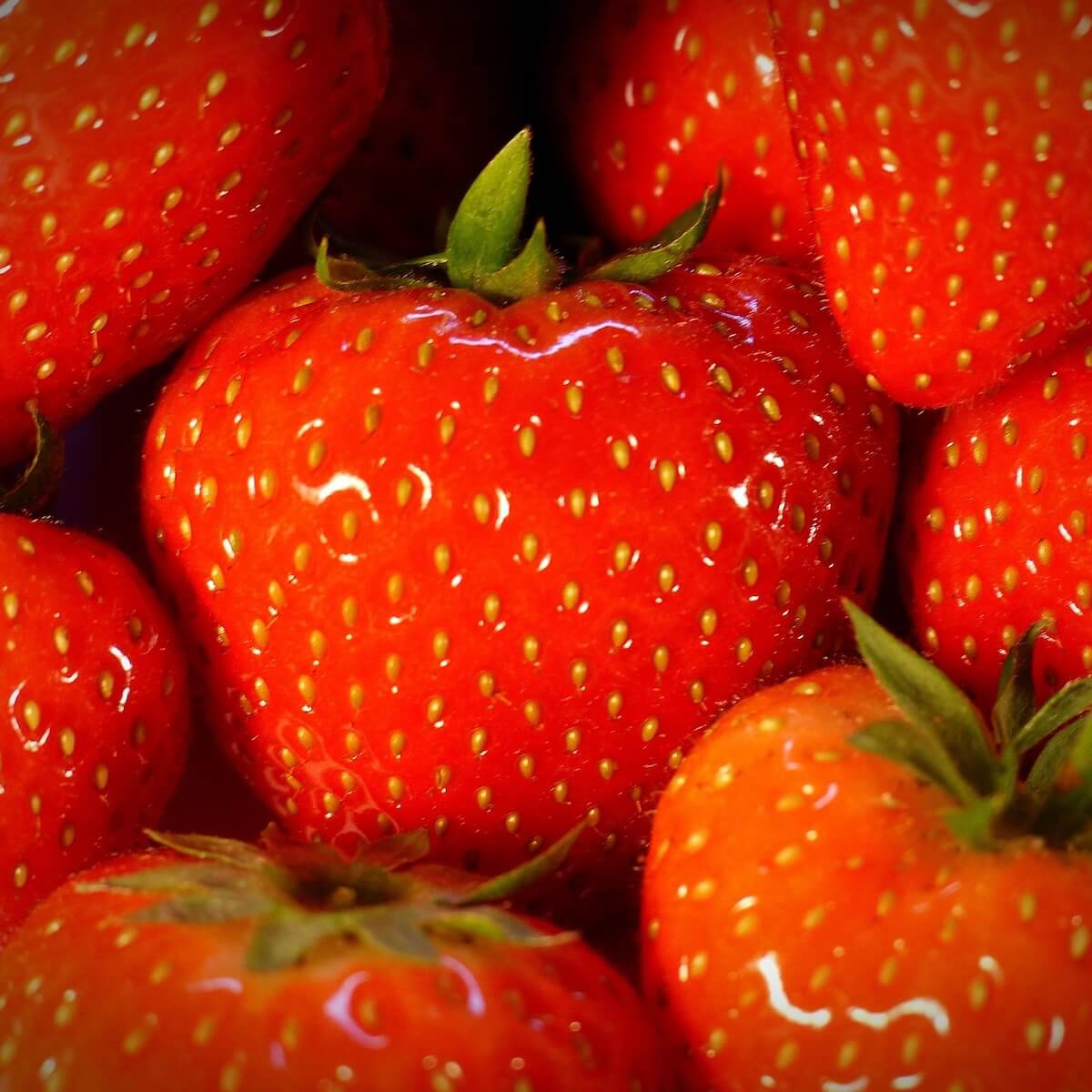Strawberry Cupid Ripe Fruit