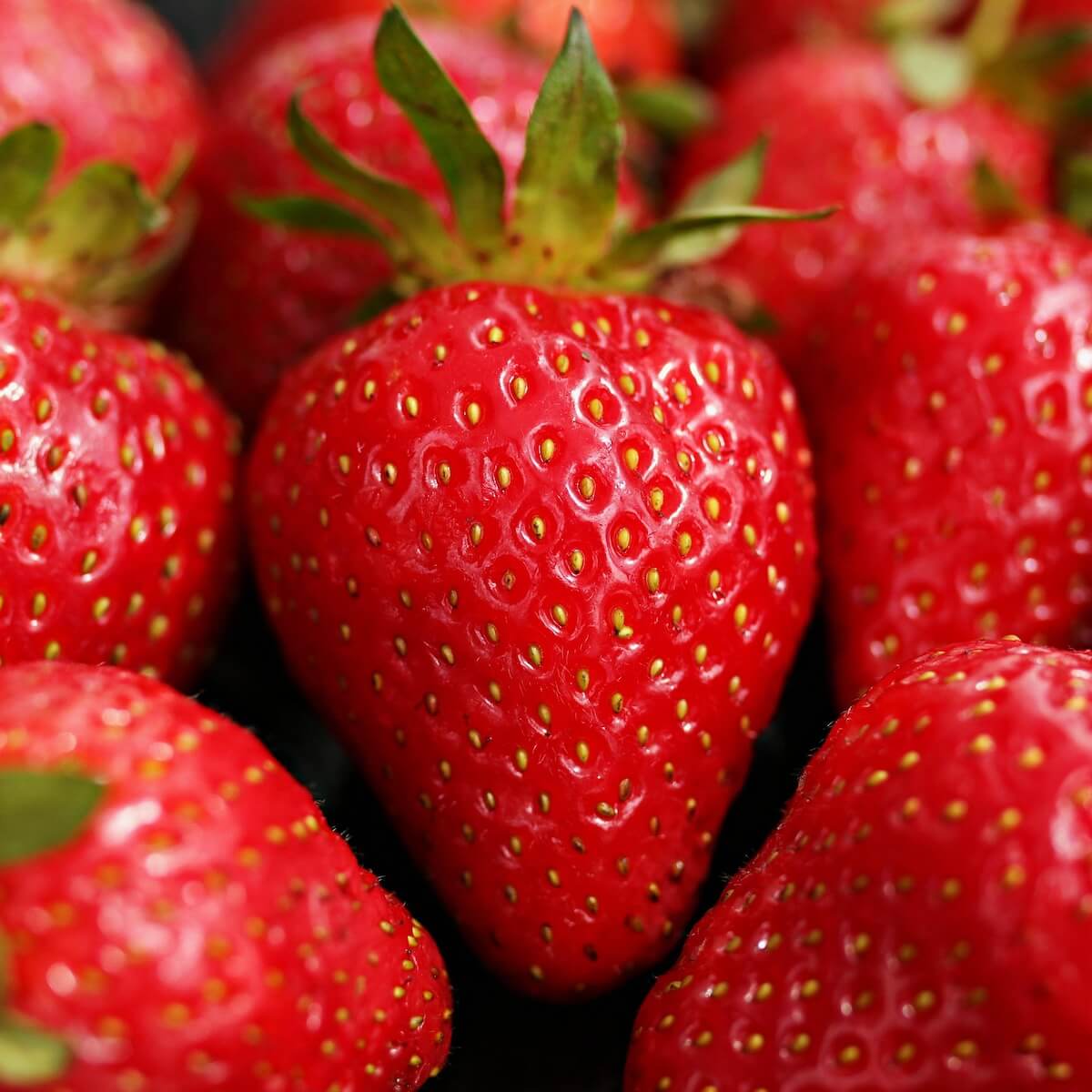 Strawberry Eros Ripe Fruit