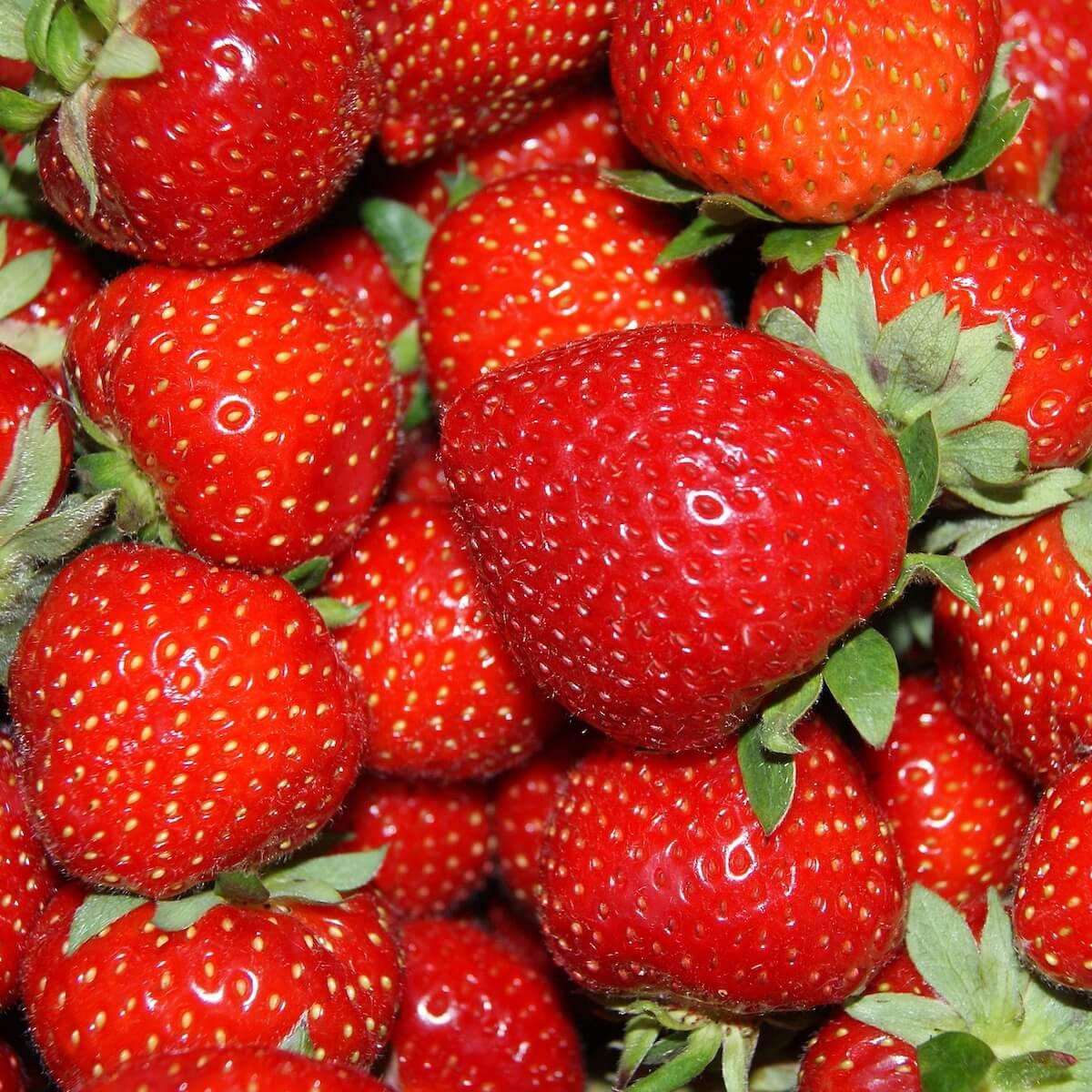 Strawberry Hapil Ripe Fruit