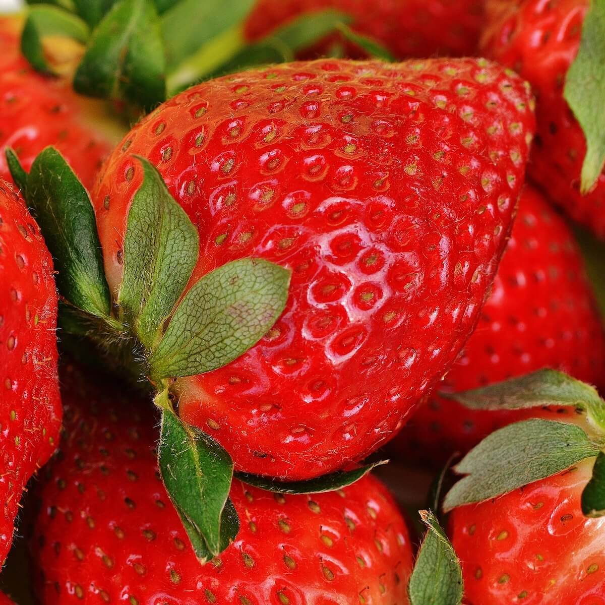 Strawberry Korona Bright Red Sweet Fruit