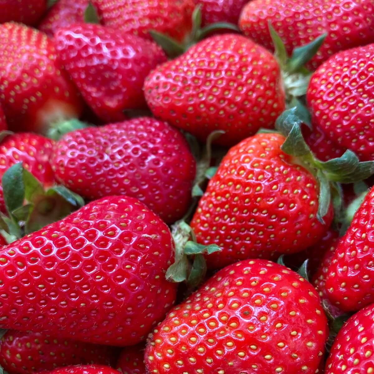 Strawberry Malling Ace Ripe Fruit