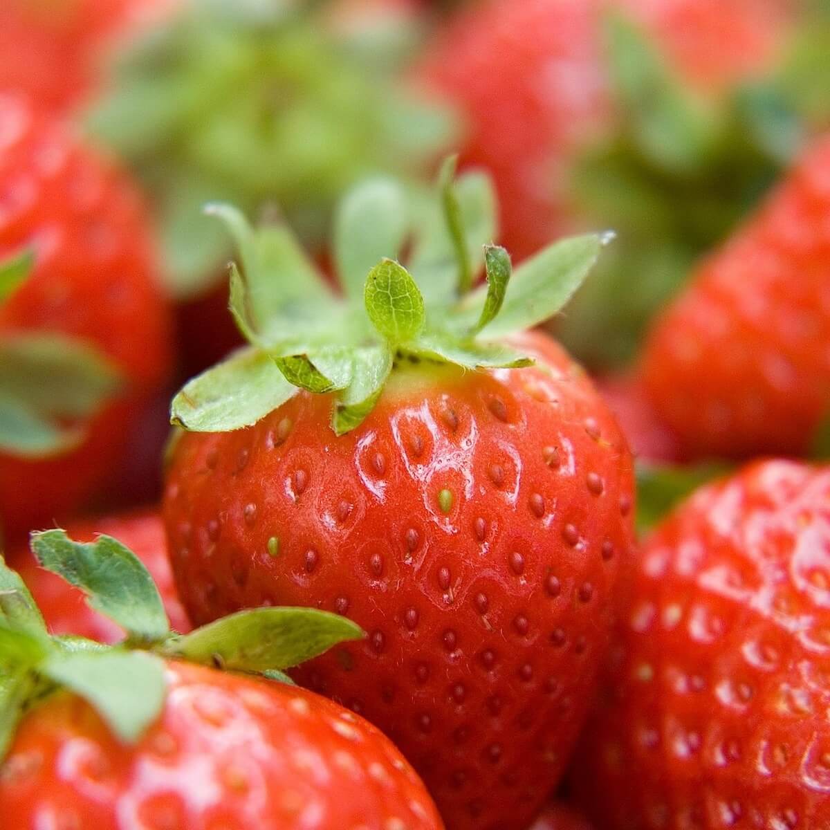 Strawberry Malwina Ripe Fruit.