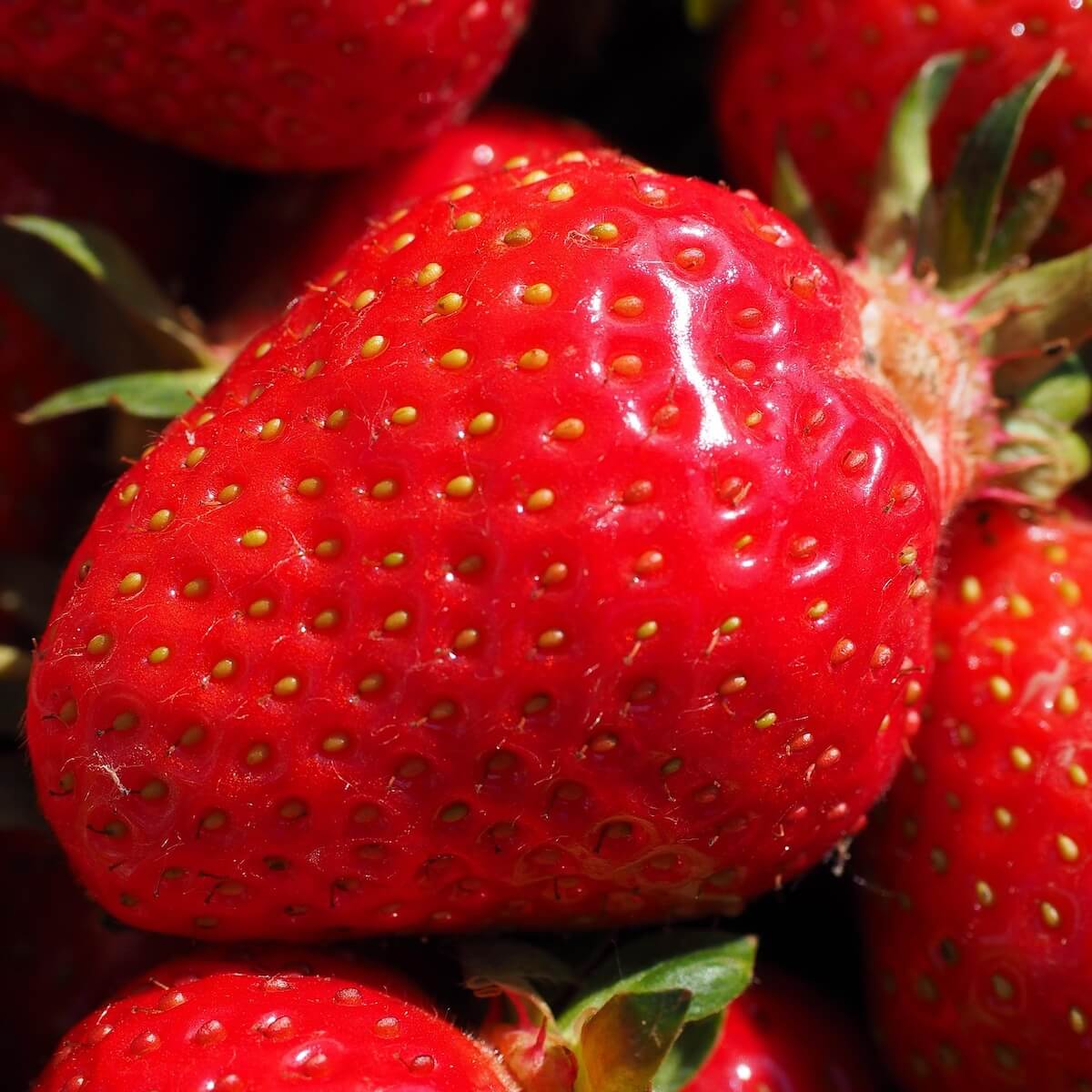 Strawberry Marshmello Ripe Fruit