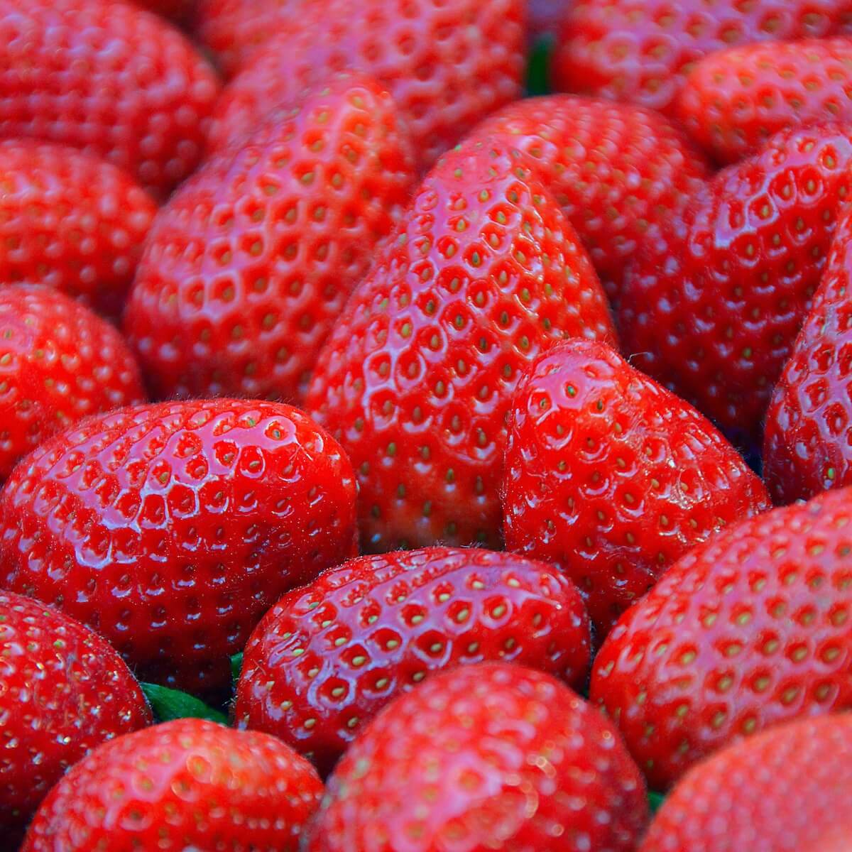 Strawberry Pegasus Ripe Fruit