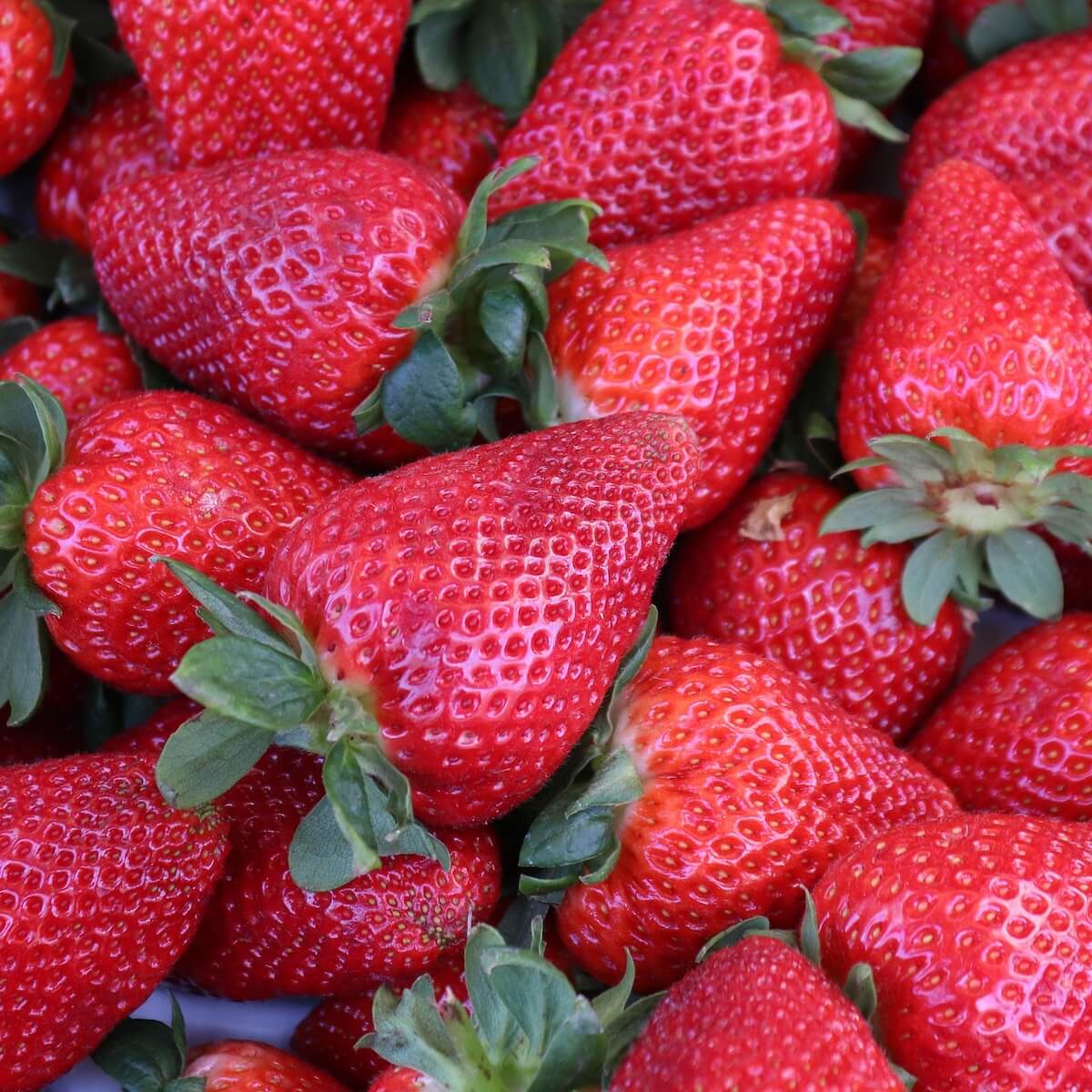 Strawberry Symphony Ripe Fruit