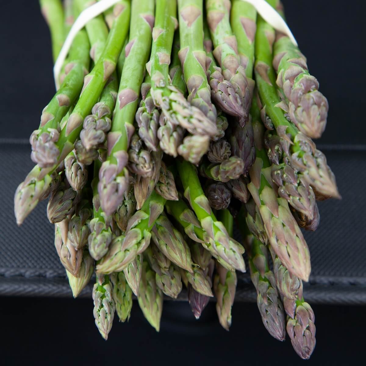 Asparagus Guelph Eclipse Spears