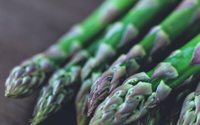 Asparagus Portlim