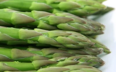 Asparagus Raffaello