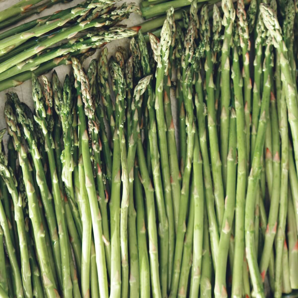 Asparagus Spears Harvested