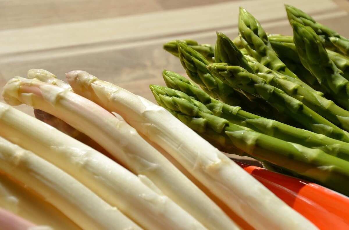 White and Green Asparagus Spears Harvested