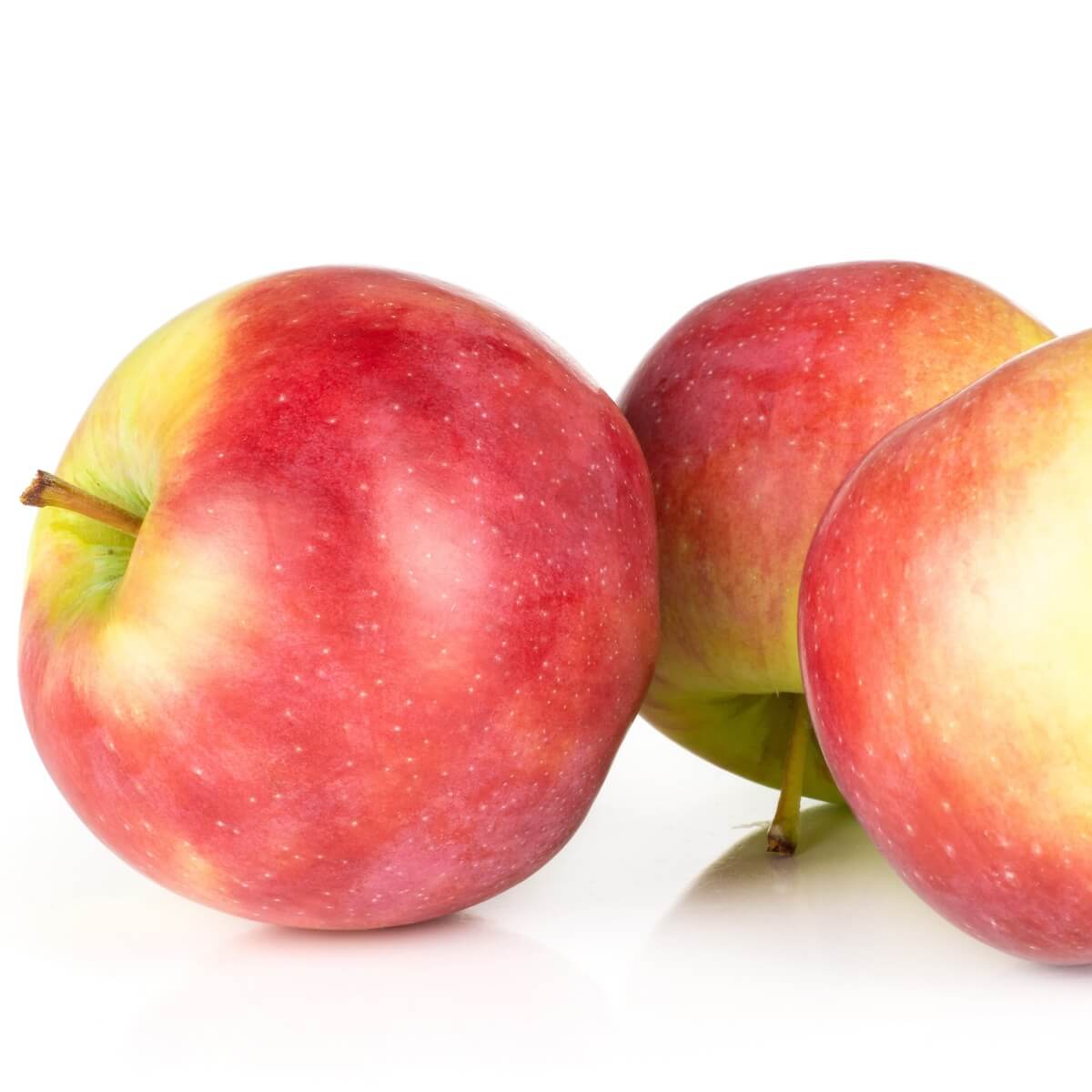 Apple James Grieve Ripe Fruit