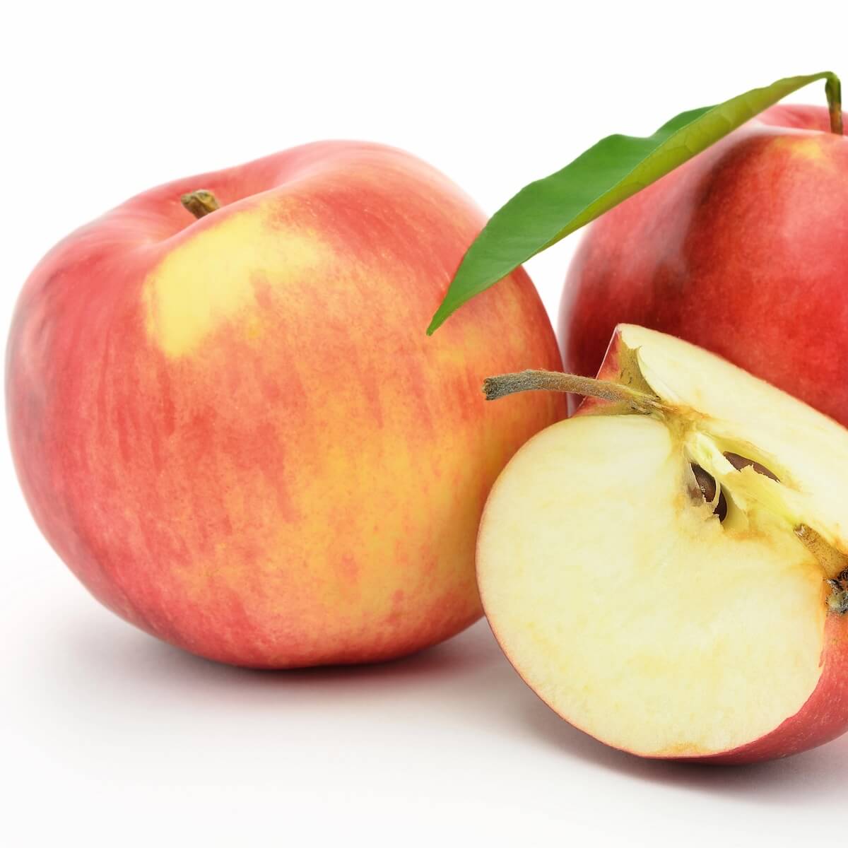 Apple Jonagold Fruit Harvested Apple Jonagold Fruit Harvested