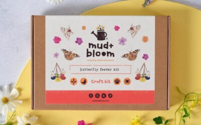 Butterfly Feeder Craft Kit
