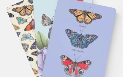 Butterfly Notebook Set