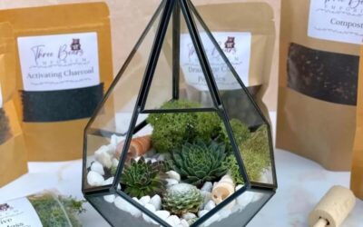 Terrarium Kit