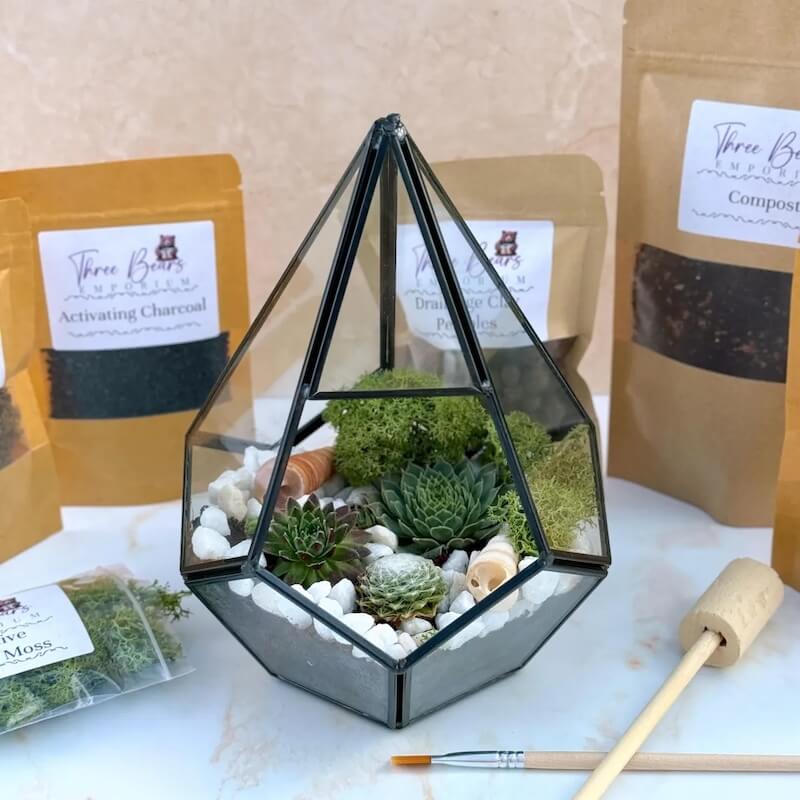 Complete Terrarium Kit Gift
