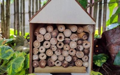 DIY Wooden Insect House
