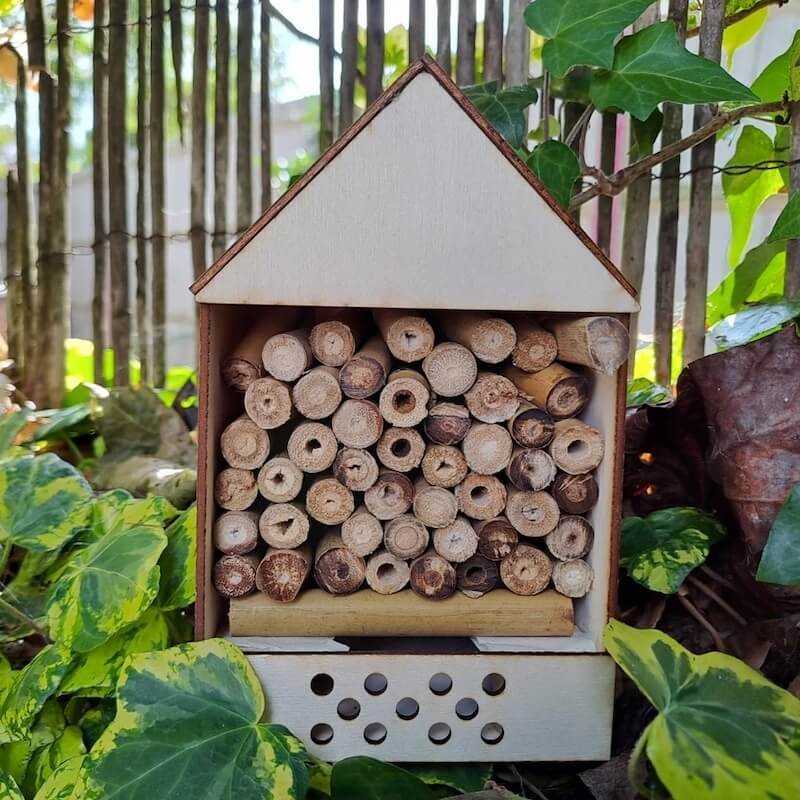 DIY Wooden Insect House