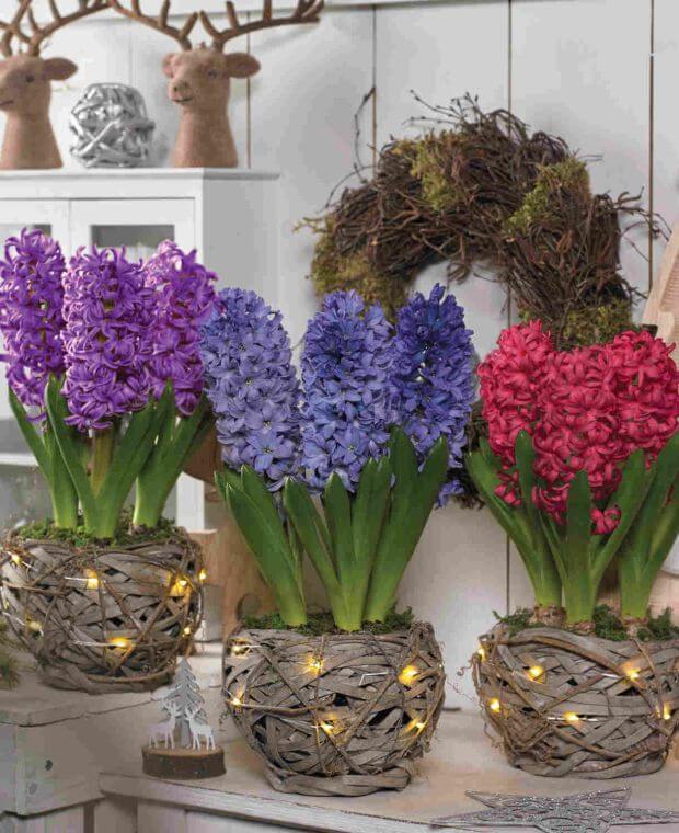 Rustic Illuminated Hyacinth Basket Collection