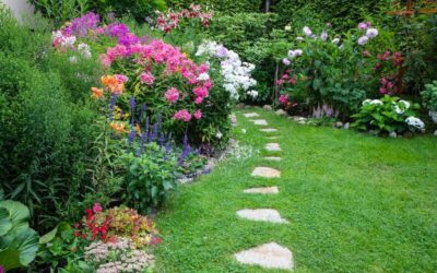 20 Beautiful Flowers Every Garden Should Have