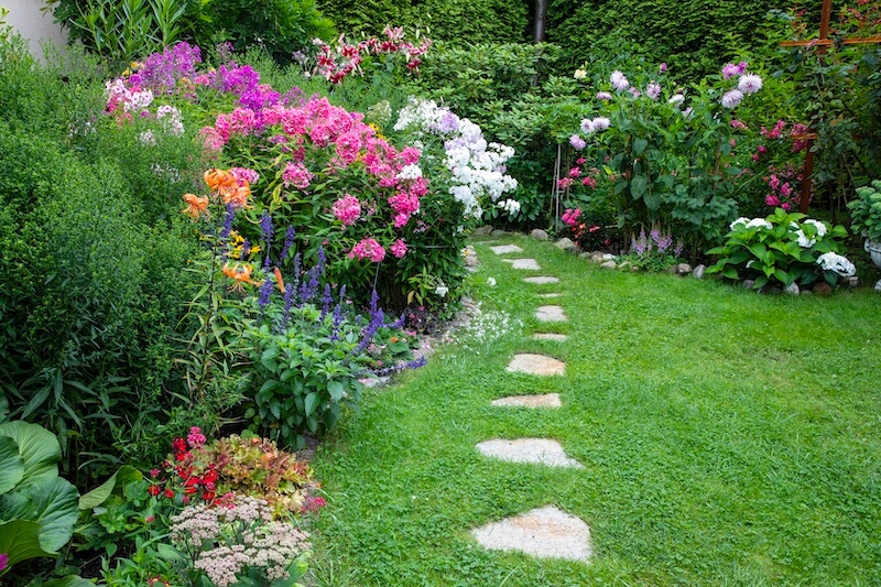 20 Beautiful Flowers Every Garden Should Have