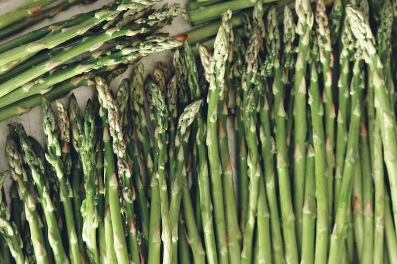 Asparagus Spears Harvested Fresh